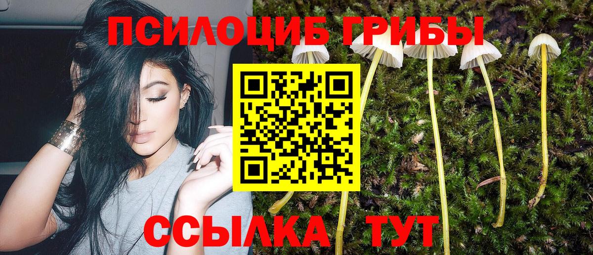 Кондопога  Галлюциногенные грибы мухоморы  Вход с VPN 