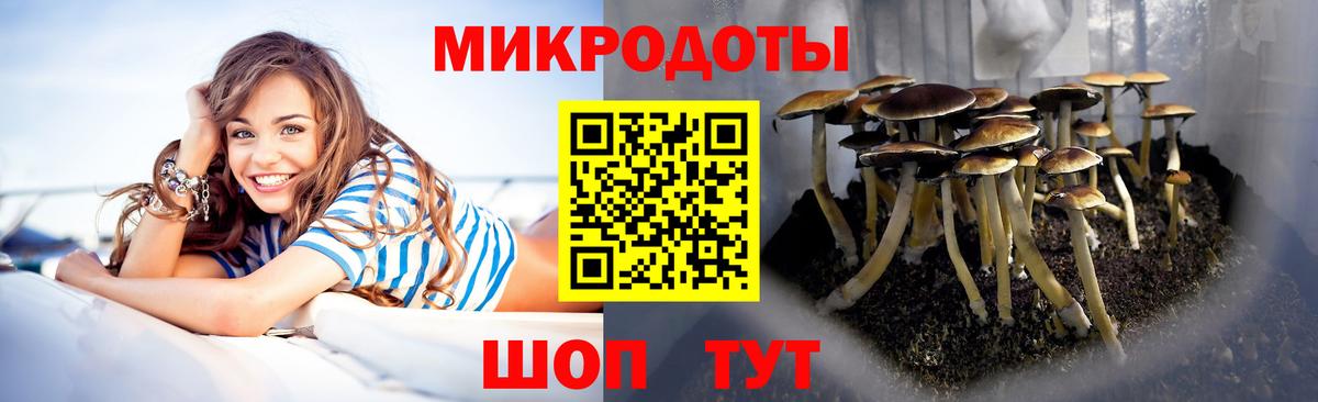 Галлюциногенные грибы ЛСД Кондопога